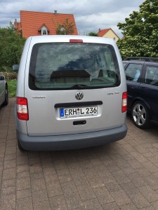 Der Volkswagen unter den Hypancistrus