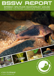 Titelseite BSSW-Report 2-2021: Corydoras fulleri, benannt nach Ian Fuller - Ingo SEIDEL