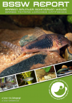 Title BSSW-Report 2-2021: Corydoras fulleri, named after Ian Fuller - Ingo SEIDEL